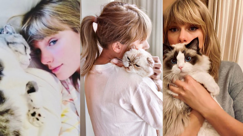 Gatos de Taylor Swift